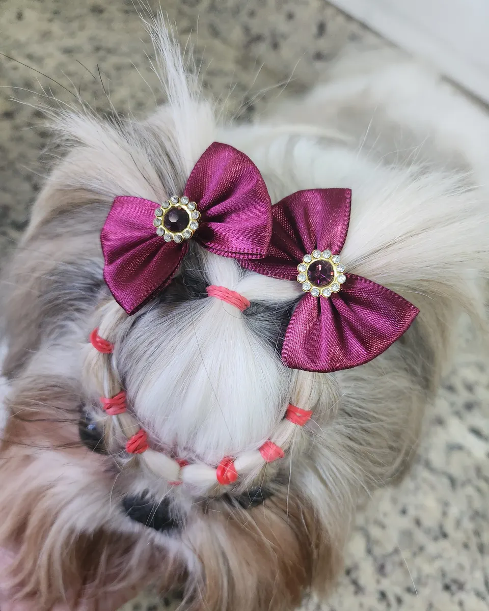 Valentina na PetTopia Ipês: penteado e laço