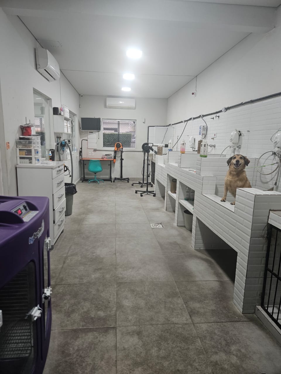 Atendimento PetTopia Ipês Cajamar